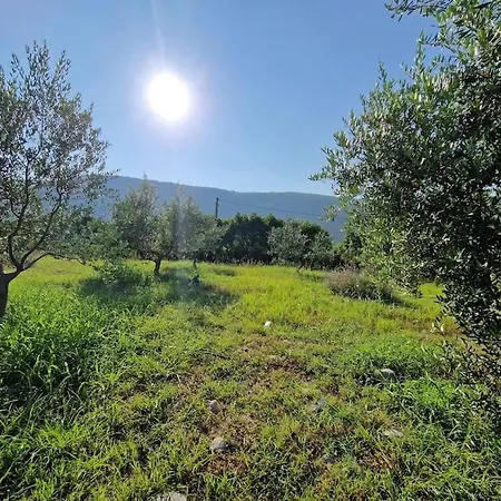 Holiday home Rustical Olive House Mostar