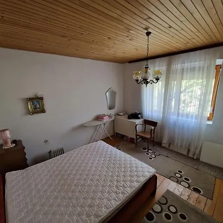 Feriehus Rustical Olive House